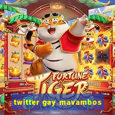 twitter gay mavambos